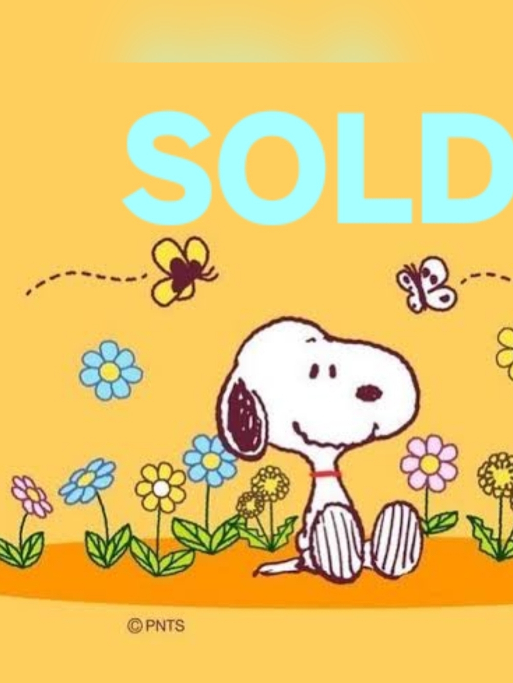 PINK Victoria's Secret Bright Pink Campus Joggers Size Small (Nwts)